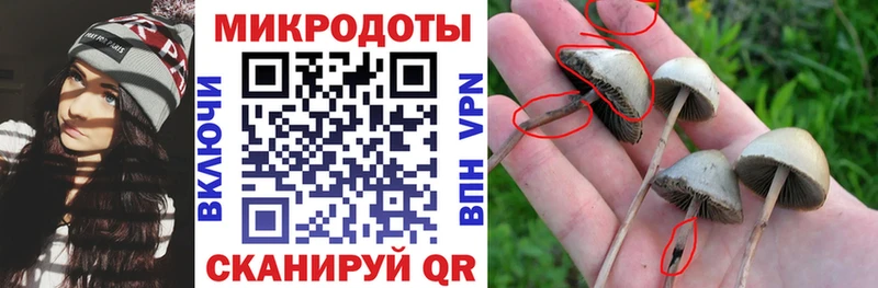Галлюциногенные грибы ЛСД  это состав  Обнинск 